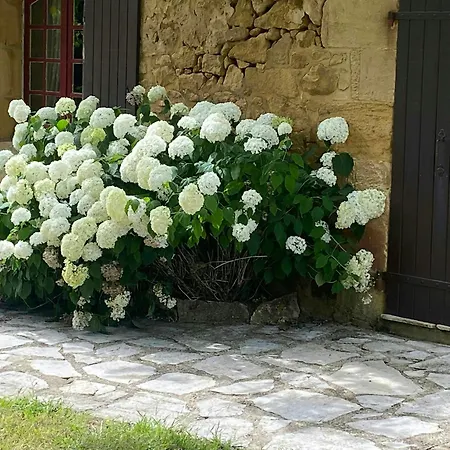 Historic Manor In The Heart Of Perigord Noir